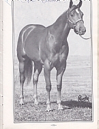 Petit Major